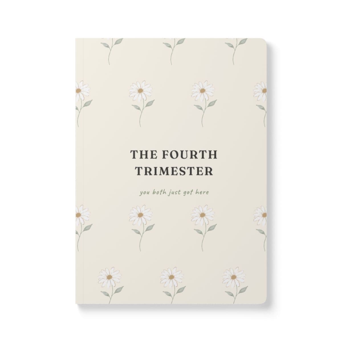 The Fourth Trimester Journal